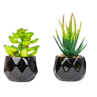 Artificial Green Plant Succulent Artificial Plant Home Furnishings