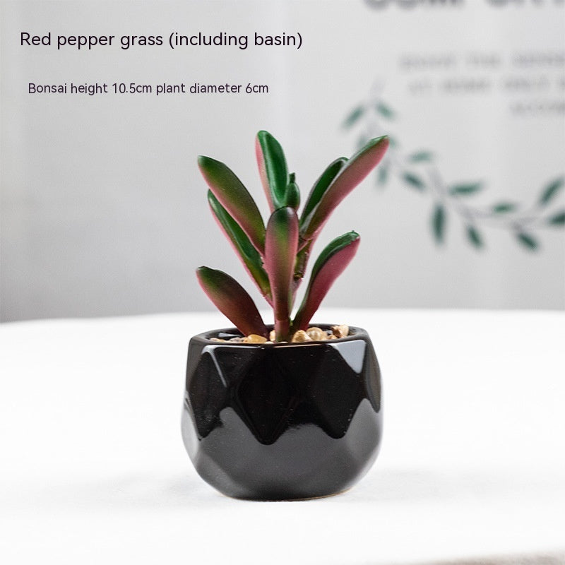 Artificial Green Plant Succulent Artificial Plant Home Furnishings