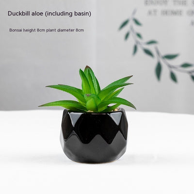 Artificial Green Plant Succulent Artificial Plant Home Furnishings