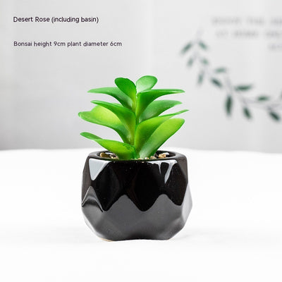 Artificial Green Plant Succulent Artificial Plant Home Furnishings